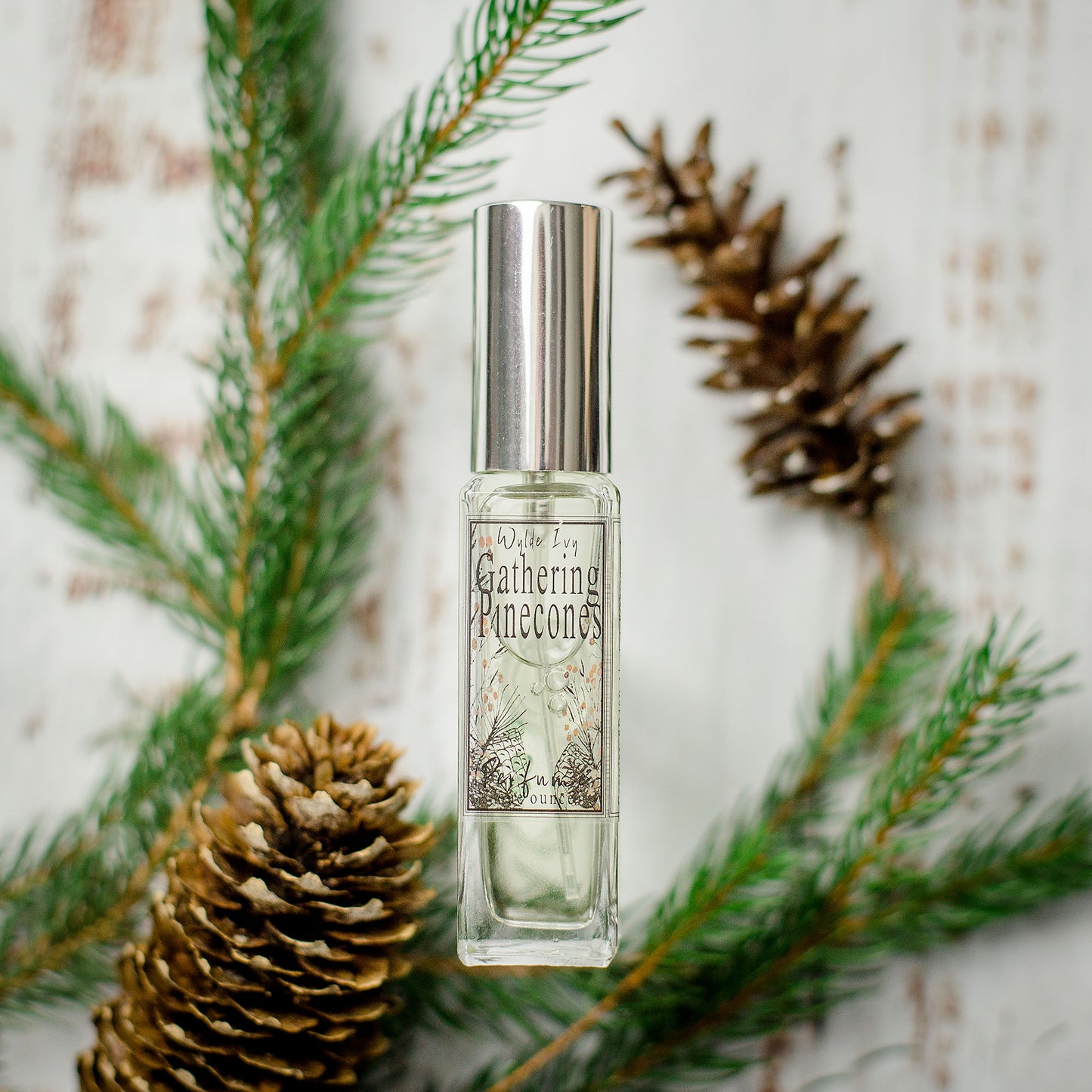 Gathering Pinecones Perfume