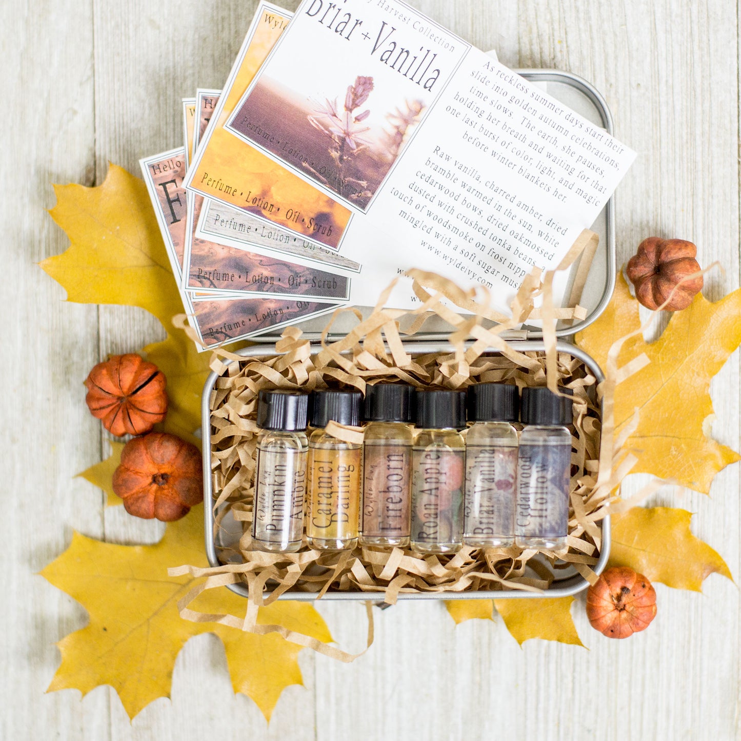 Hello September Collection Perfume Oil Sampler Gift Set