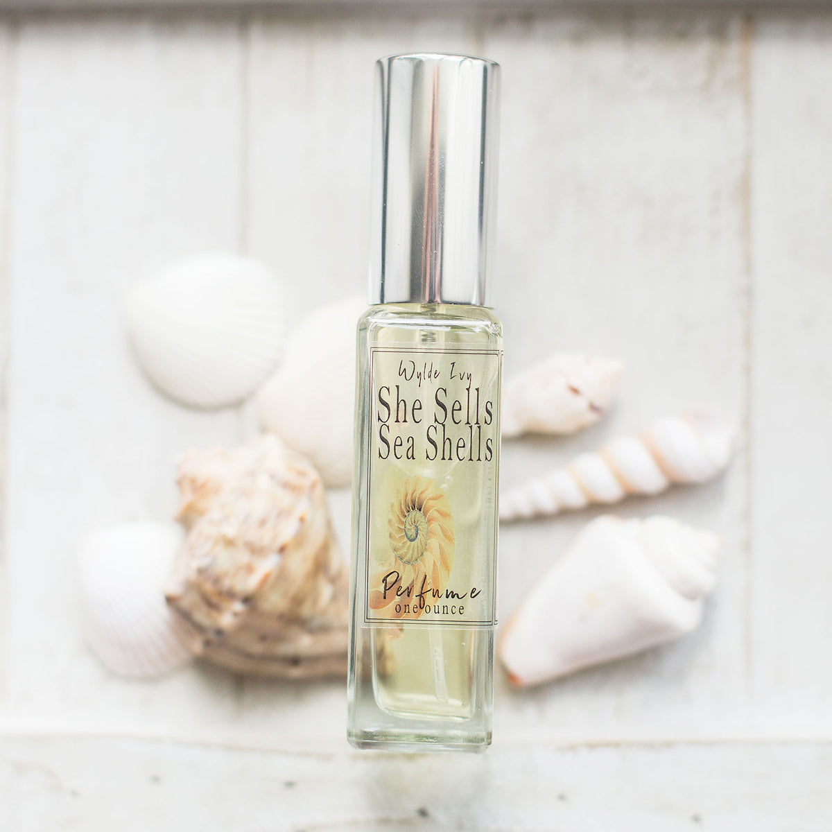 She Sells Sea Shells Perfume | Sweet, Beach Inspired Scent of Coconut ...