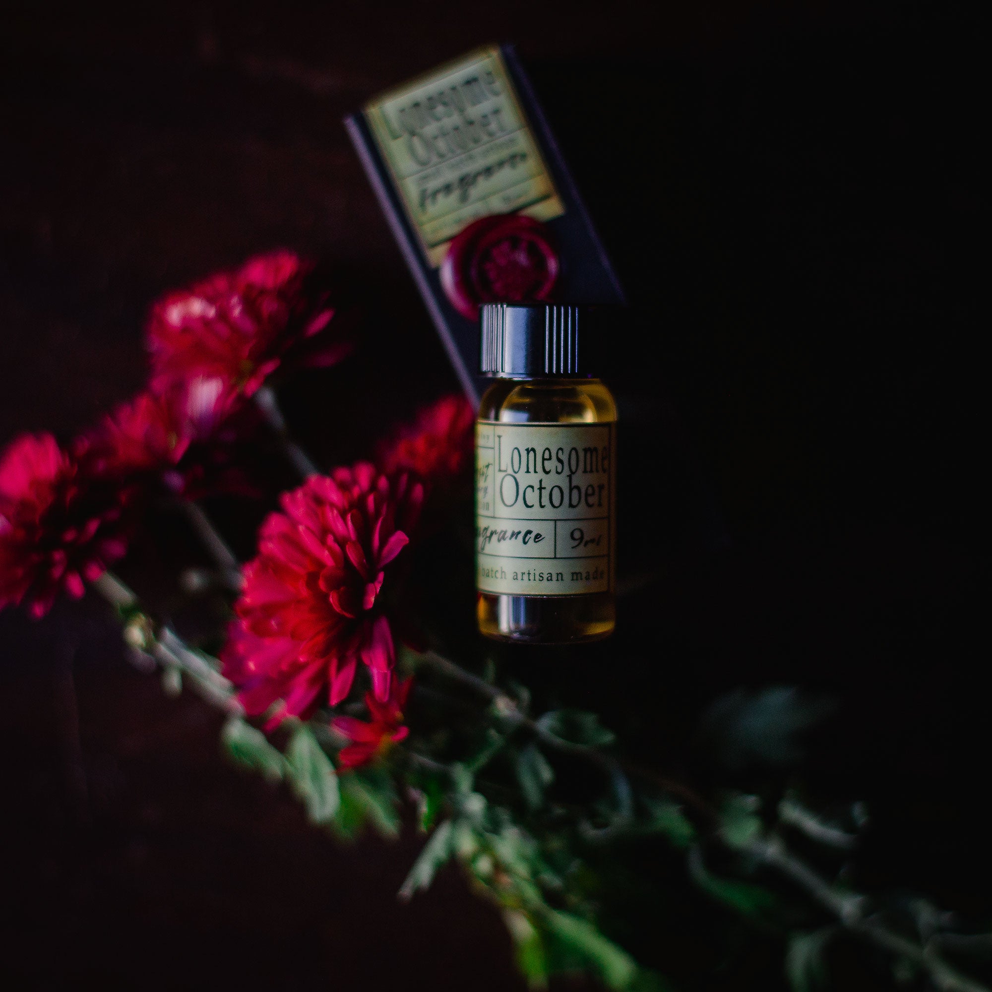 A Midnight Dreary Perfume Oil Poison Bottles – Wylde Ivy