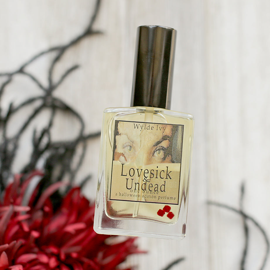 The Sugar Witch Perfume  Indie Fragrance by Wylde Ivy – Wylde Ivy