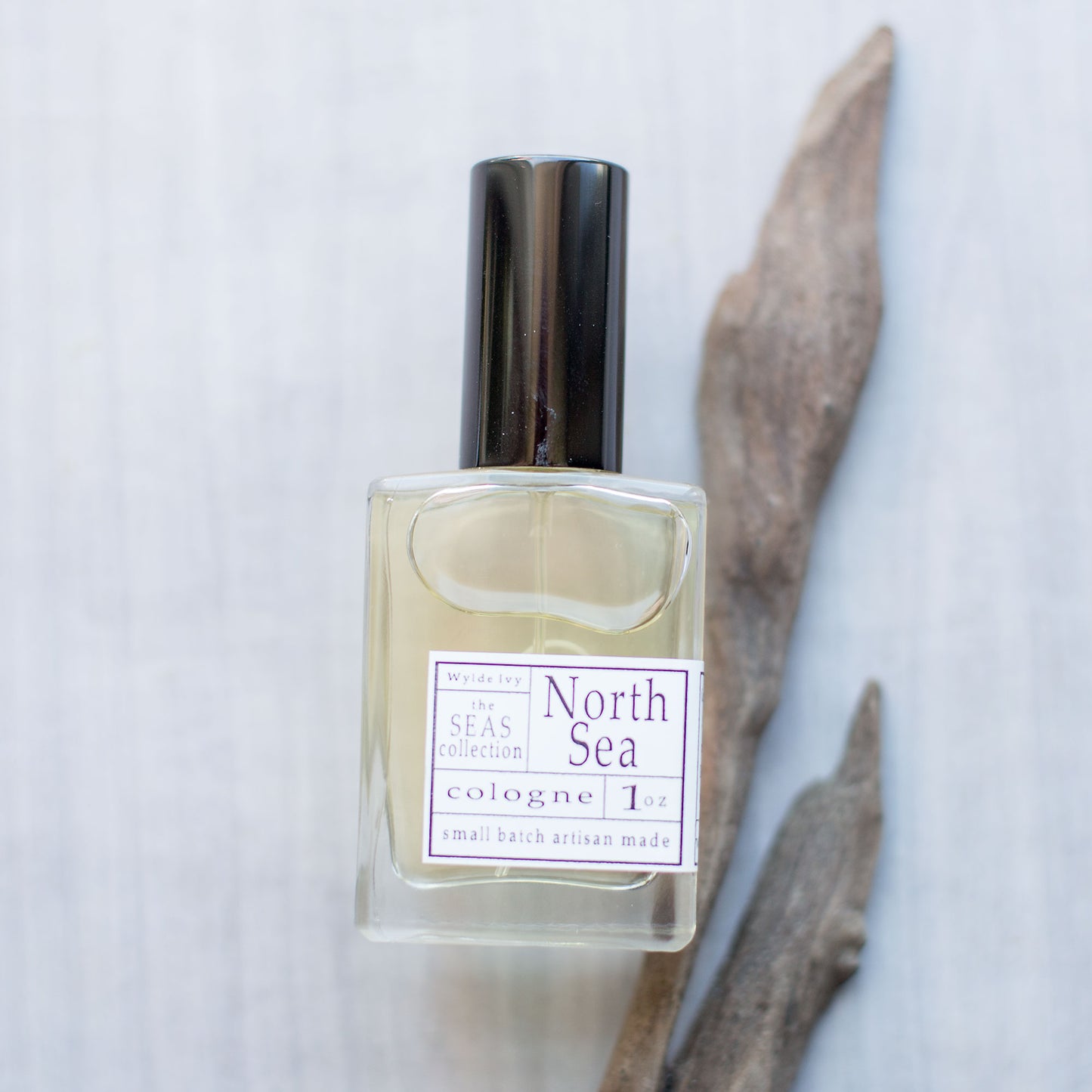 North Sea Cologne