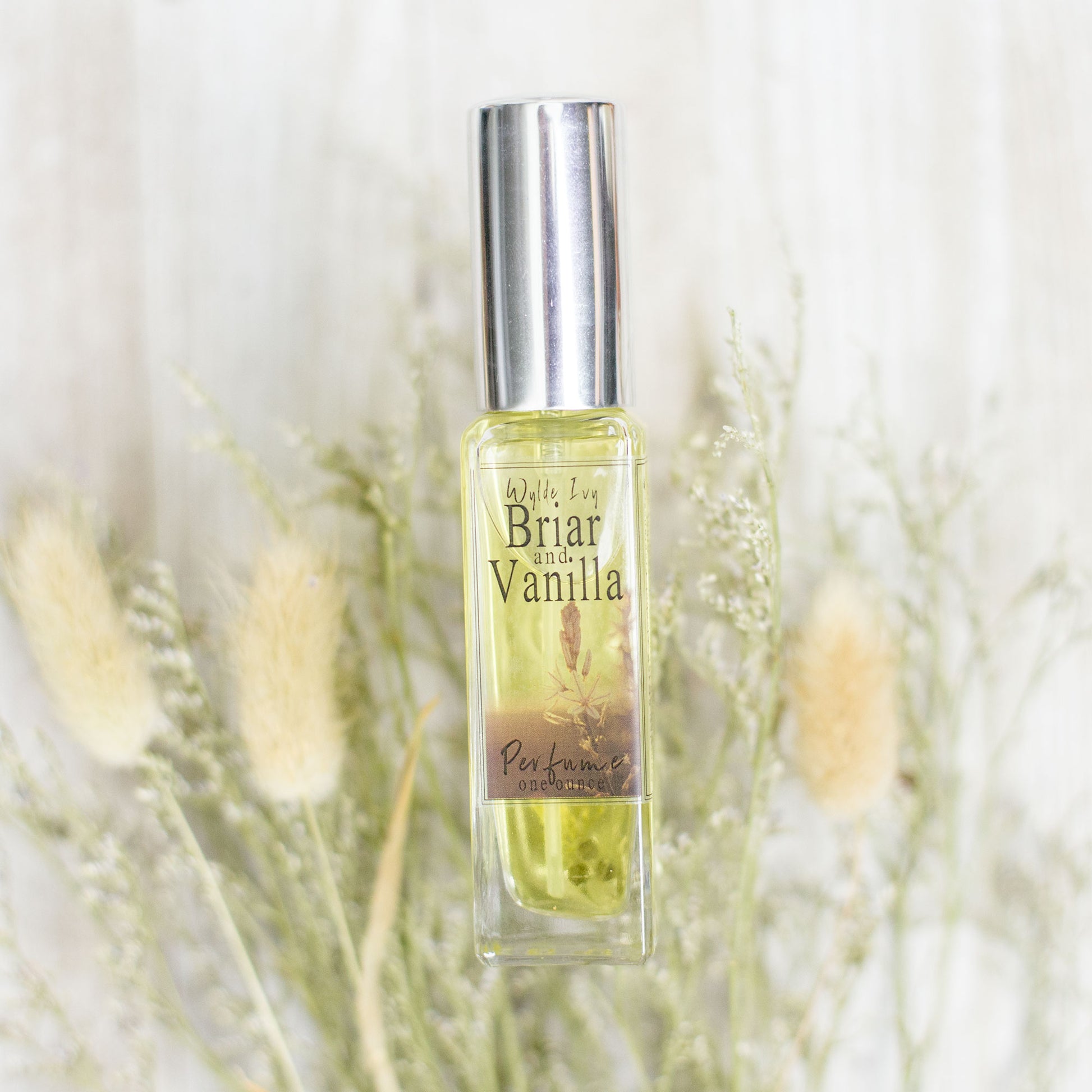 Briar + Vanilla Perfume | A Vanilla and Amberwood Autumn Inspired Fragrance  | Artisan Perfumes by Wylde Ivy – Wylde Ivy